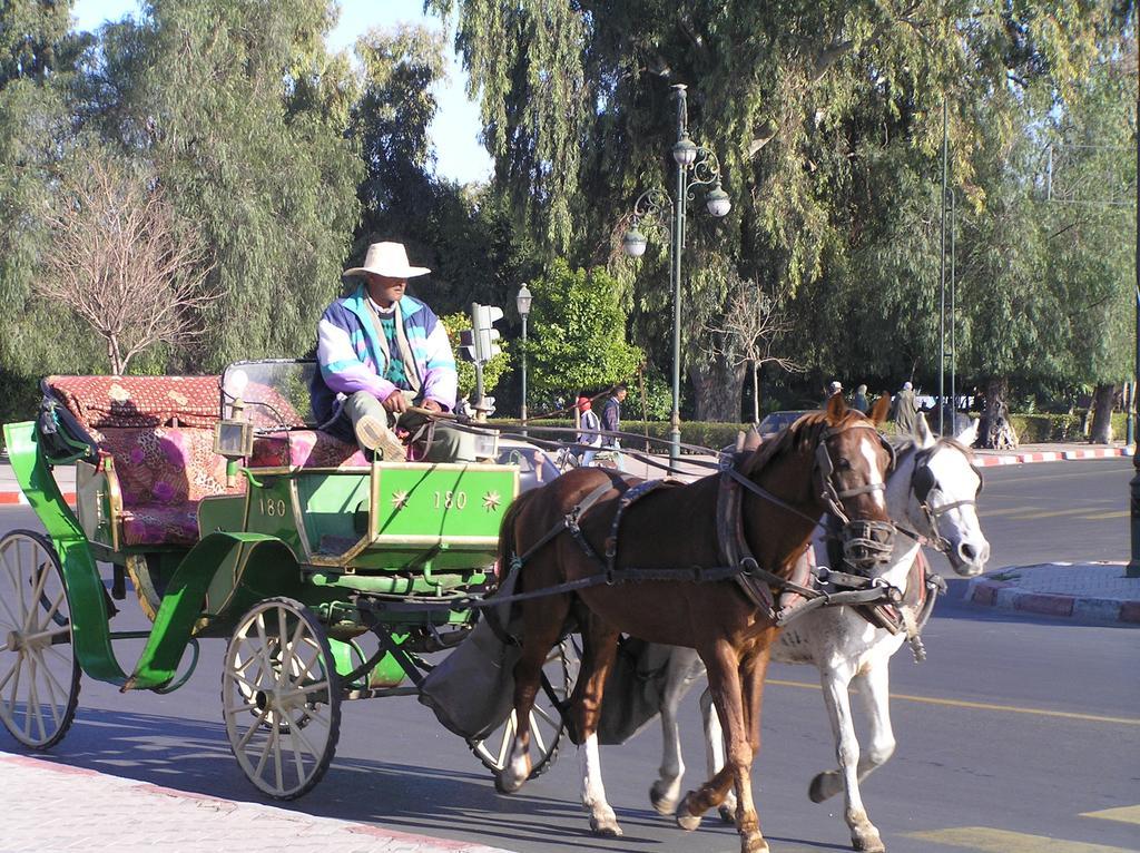 מרקש Riad N10 מראה חיצוני תמונה